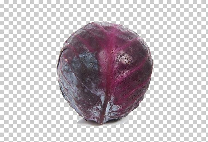 Red Cabbage Vegetable Purple PNG, Clipart, Cabbage, Encapsulated Postscript, Euclidean Vector, Gratis, Magenta Free PNG Download