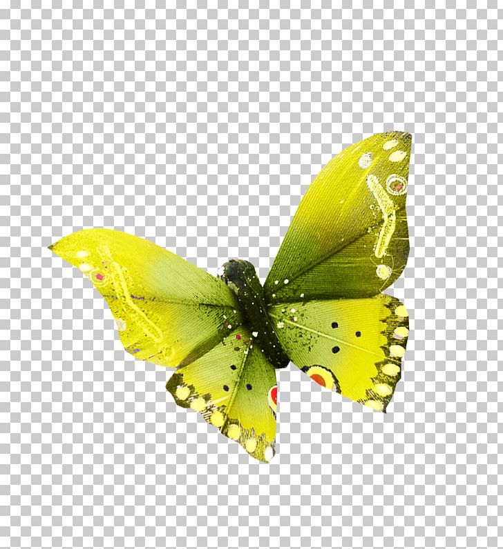 Colias Butterfly Nymphalidae Moth PNG, Clipart, Arthropod, Bird, Brush Footed Butterfly, Butterfly, Colias Free PNG Download