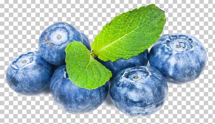 Blueberry Tea Cocktail Bilberry Fruit PNG, Clipart, Berry, Blue, Blueberries, Blueberry, Blueberry Bush Free PNG Download