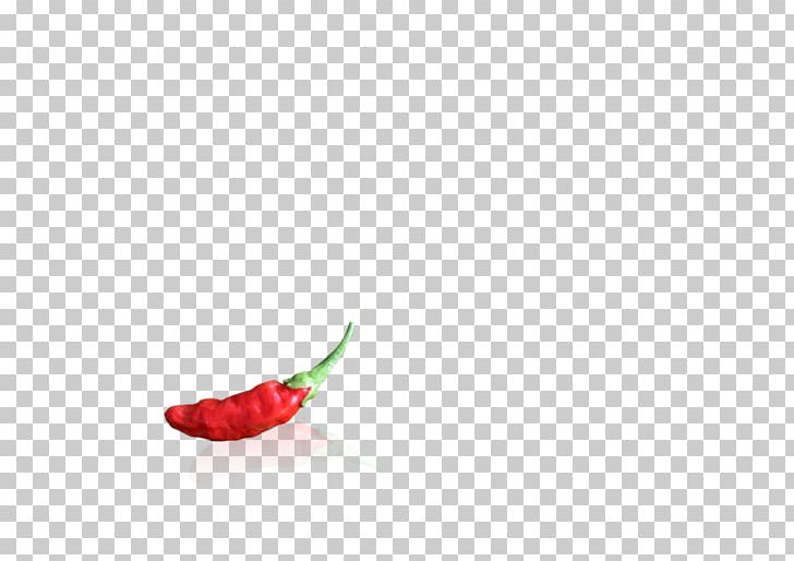 Chili Pepper Body Jewellery Close-up PNG, Clipart, Bell Peppers And Chili Peppers, Body Jewellery, Body Jewelry, Chili Pepper, Closeup Free PNG Download