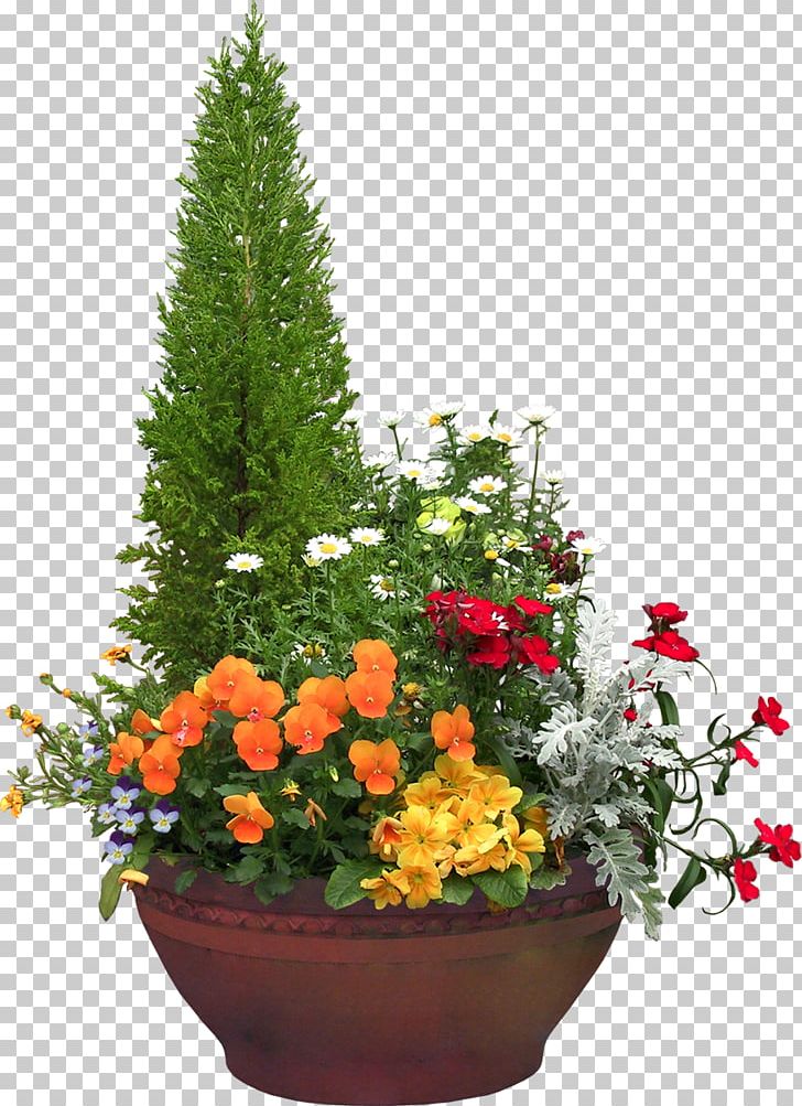 Natal Luz PNG, Clipart, Annual Plant, Art, Bonsai, Christmas Lights, Cut Flowers Free PNG Download