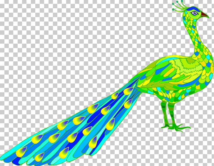 Peafowl Desktop PNG, Clipart, Animal, Animal Figure, Beak, Bird, Computer Icons Free PNG Download