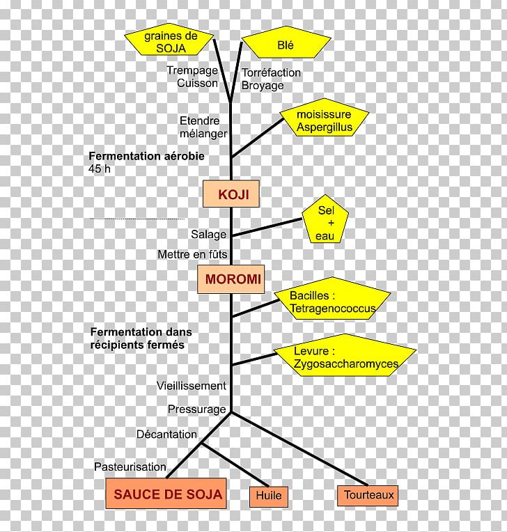 Soy Milk Chinese Cuisine Edamame Plant Milk Soy Sauce PNG, Clipart, Angle, Area, Aspergillus Oryzae, Chinese Cuisine, Diagram Free PNG Download