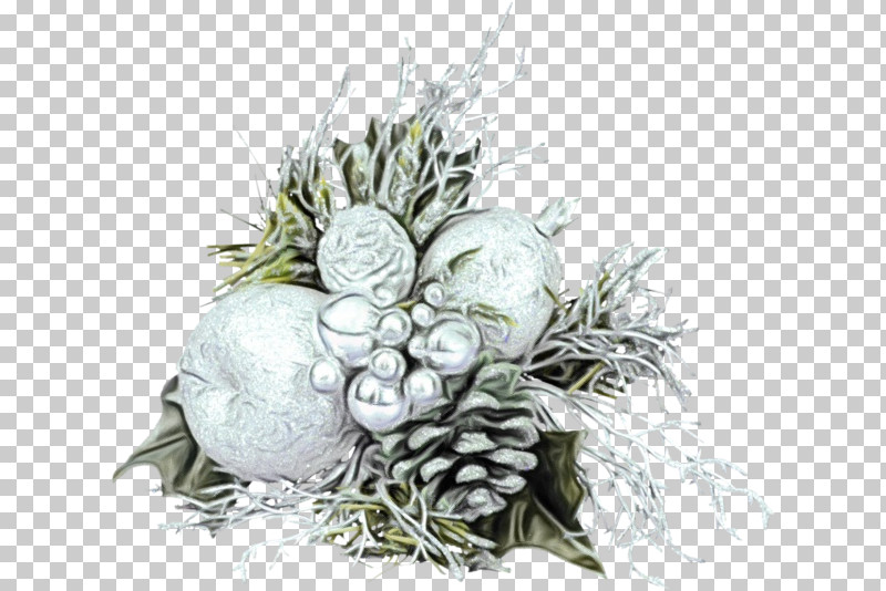 Floral Design PNG, Clipart, Biology, Floral Design, Flower, Paint, Plants Free PNG Download