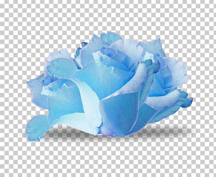 Blue Rose Flower Paper PNG, Clipart, Blue, Blue Flower, Blue Flowers, Cicek Resimleri, Color Free PNG Download