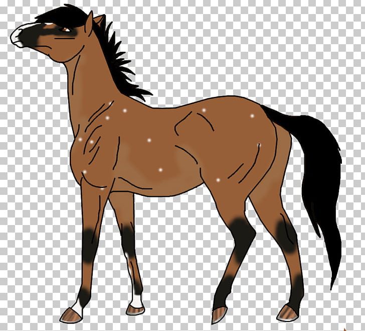 Mustang Pony Foal Mare Stallion PNG, Clipart, Animal Figure, Bridle, Colt, English Riding, Equestrian Free PNG Download