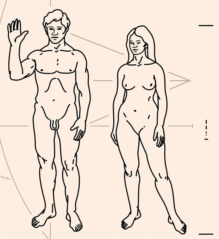 Pioneer Program Voyager Program Pioneer Plaque Pioneer 10 Pioneer 11 PNG, Clipart, Abdomen, Angle, Arm, Cartoon, Extraterrestrial Life Free PNG Download