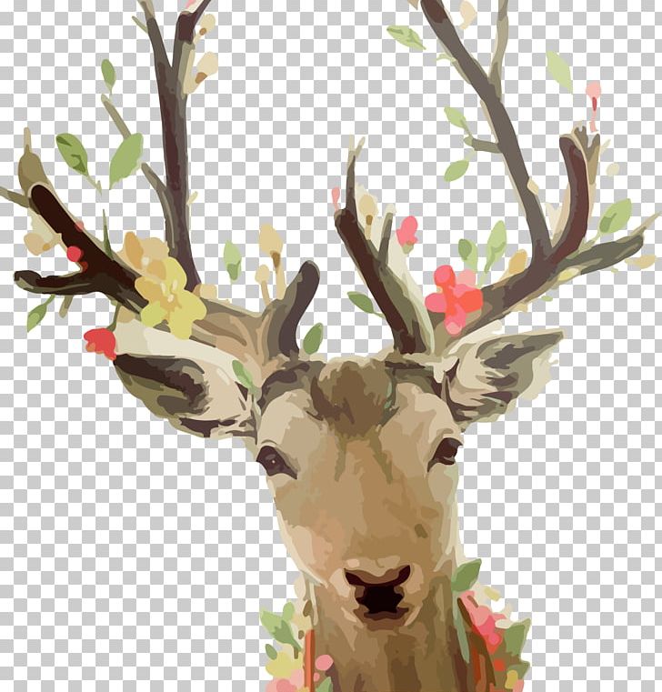 Reindeer Watercolor Painting Sika Deer PNG, Clipart, Animals, Antler, Cartoon, Christmas Deer, Deer Free PNG Download