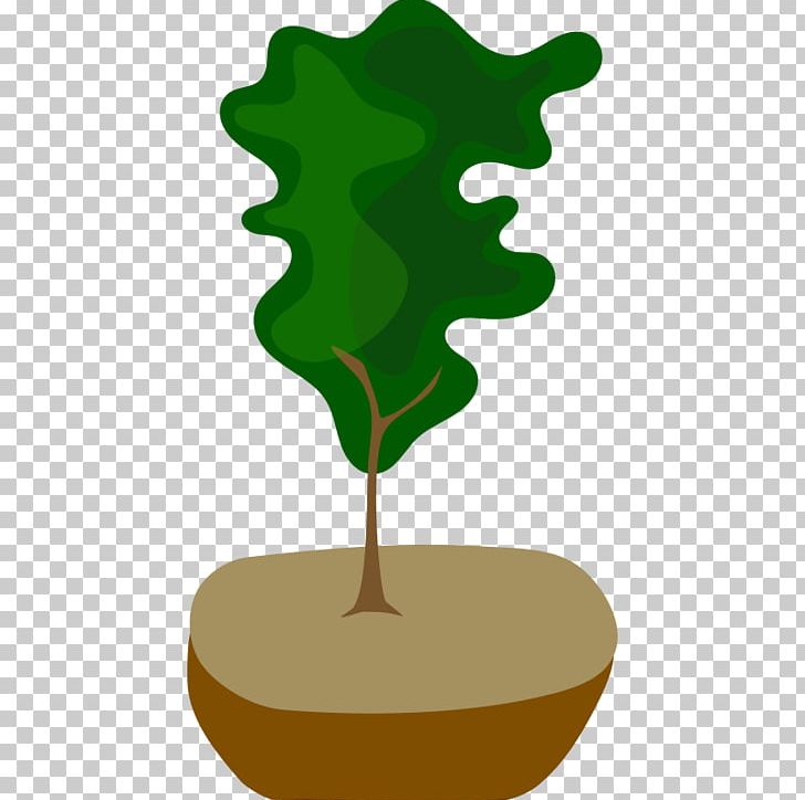 Tree Bonsai Pine PNG, Clipart, Bonsai, Branch, Drawing, Euclidean Vector, Fir Free PNG Download