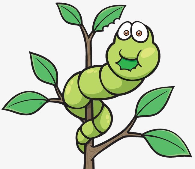Cartoon Caterpillar PNG, Clipart, Animal, Branches, Cartoon, Cartoon Clipart, Caterpillar Free PNG Download