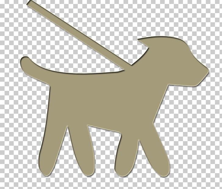Dog Walking Pet Sitting Cat Puppy PNG, Clipart, Angle, Animals, Beech House Vets, Carnivoran, Cat Free PNG Download