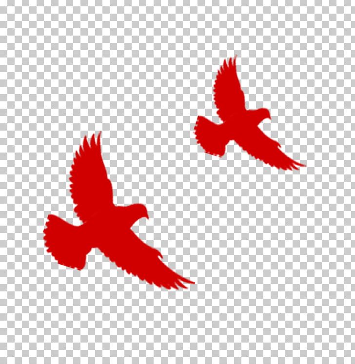 Flight Hongmian Bird Red PNG, Clipart, Adobe Illustrator, Animals, Bird, China, China Red Free PNG Download