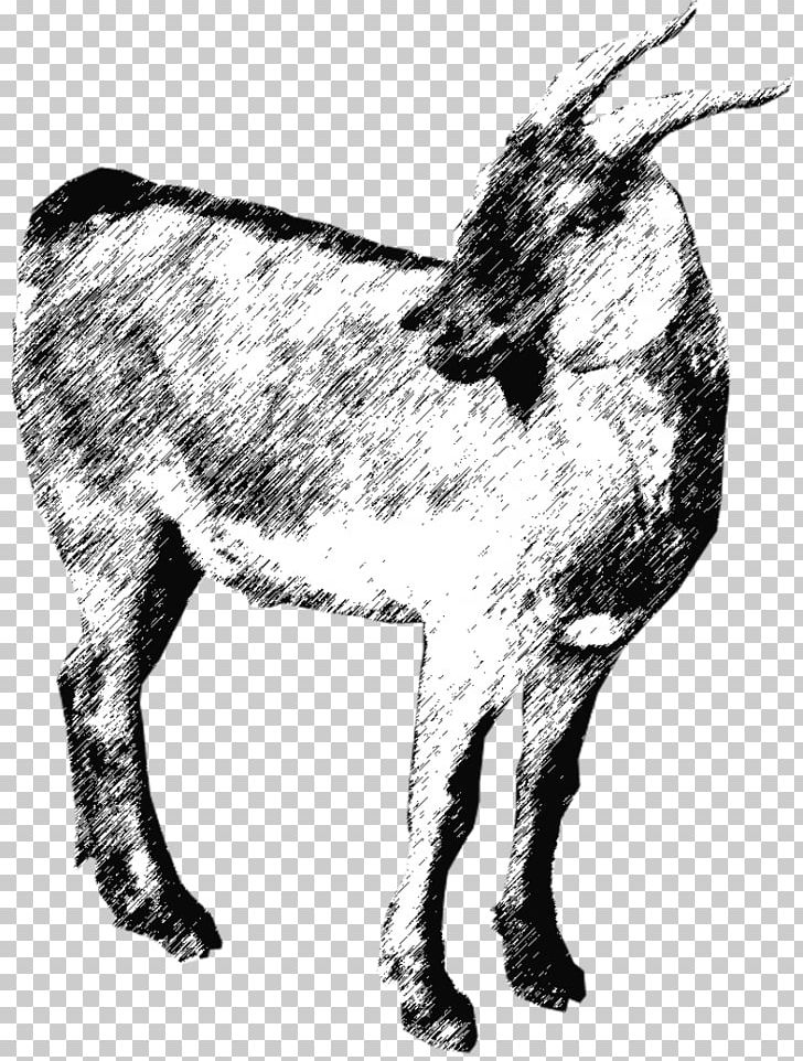 Goat Cattle Donkey Qurbani EZ Qurban Sdn. Bhd. PNG, Clipart, Animals, Aqiqah, Art, Cattle, Cattle Like Mammal Free PNG Download