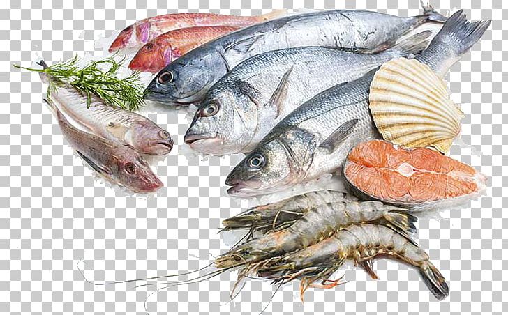 Sustainable Seafood Fish Processing Salmon PNG, Clipart, Animals, Animal Source Foods, Atlantic Cod, Fish, Fishery Free PNG Download