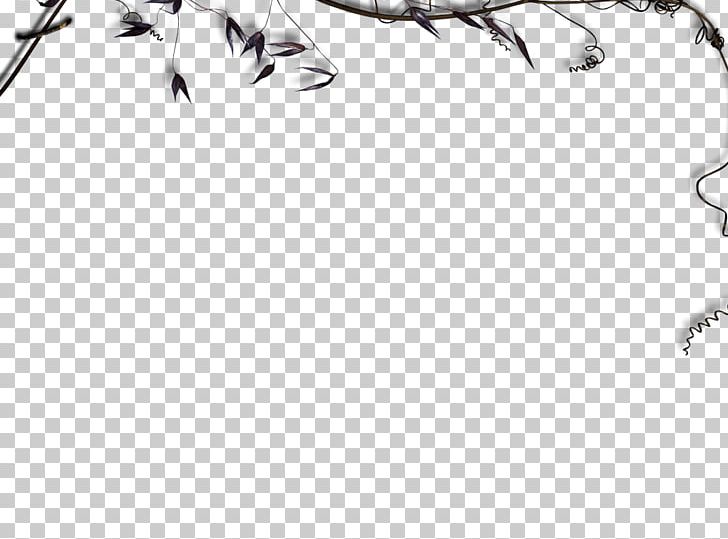 Twig White Line Art Leaf PNG, Clipart, Anastasia, Artwork, Black, Black And White, Branch Free PNG Download