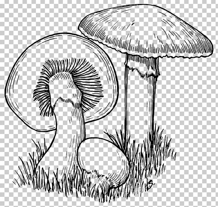 Mushroom Hunting Drawing Line Art PNG, Clipart, Art, Artwork, Black And White, Coloring Book, Common Mushroom Free PNG Download