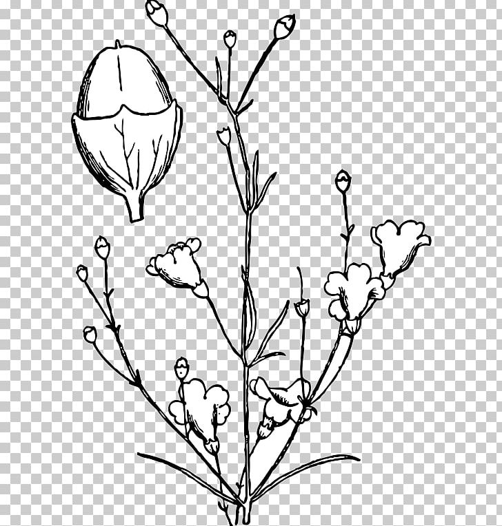 Shrub Plant PNG, Clipart, Agalinis, Agalinis Maritima, Black And White, Branch, Drawing Free PNG Download