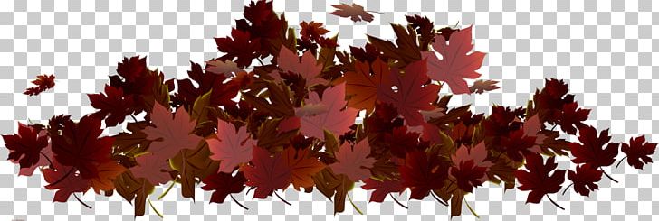 Autumn Maple Leaf .de PNG, Clipart, Autumn, Autumn Leaf Color, Autumn Leaves, Autumn Tree, Blade Free PNG Download