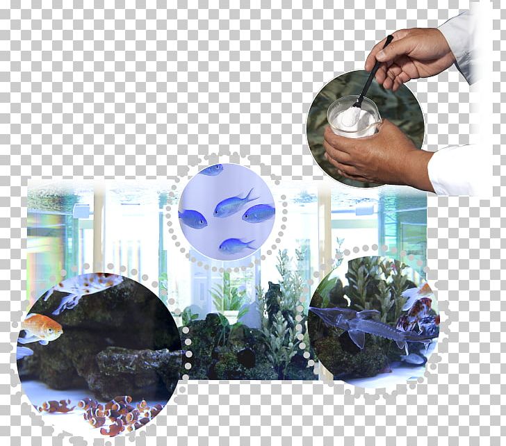 Okayama University Of Science 海水魚 Research PNG, Clipart, Aquaculture, Chemistry, Experiment, Fish, Freshwater Fish Free PNG Download