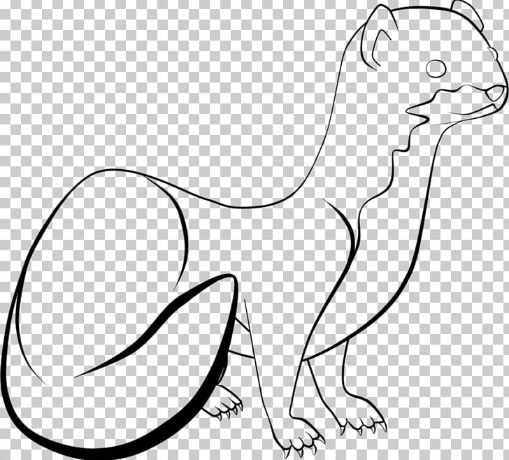 Whiskers Stoat Drawing Long-tailed Weasel Line Art PNG, Clipart, Animal Figure, Animals, Art, Artwork, Beak Free PNG Download