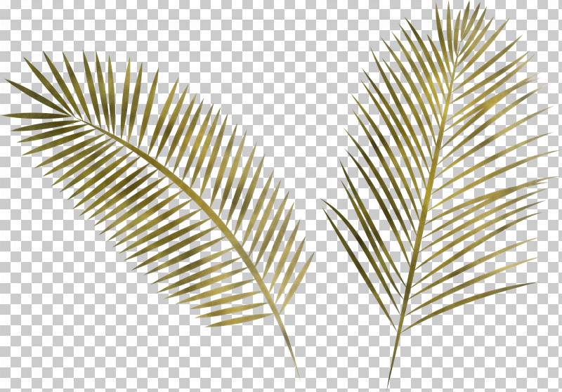 Arabian Landscape PNG, Clipart, Aquatic Plant, Arabian Landscape, Grasses, Leaf, Palm Trees Free PNG Download