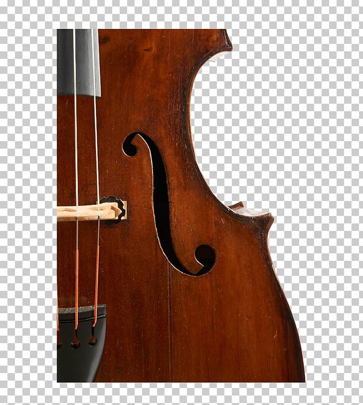 Bass Violin Double Bass Violone Viola Bass Guitar PNG, Clipart, Acoustic Electric Guitar, Acousticelectric Guitar, Acoustic Guitar, Bass Guitar, Bass Violin Free PNG Download