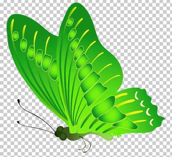 Butterfly Nymphalidae PNG, Clipart, Animal, Archive File, Brush Footed Butterfly, Butterflies And Moths, Butterfly Free PNG Download