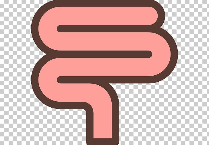 Computer Icons PNG, Clipart, Angle, Computer Icons, Encapsulated Postscript, Intestine, Large Intestine Free PNG Download