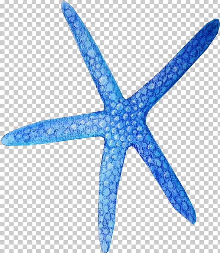 Starfish Blue PNG, Clipart, Animals, Blue, Blue Abstract, Blue Background, Blue Starfish Free PNG Download