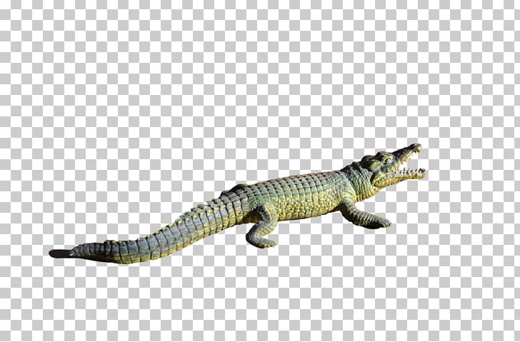 Alligator Crocodile Clip PNG, Clipart, Alligator, Animal Figure, Animals, Copying, Crocodile Free PNG Download