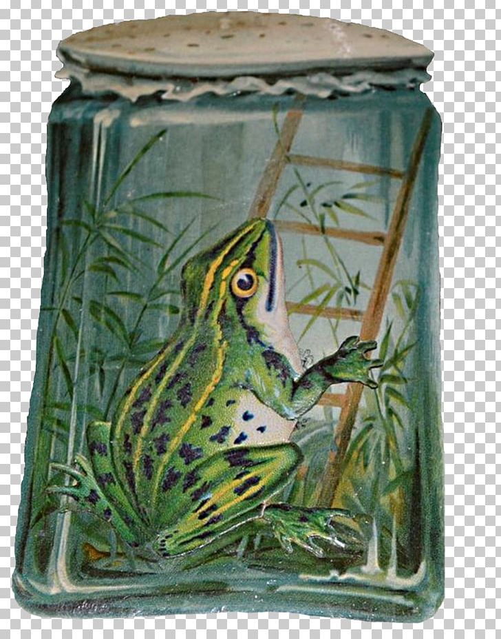Kermit The Frog Amphibian Idea PNG, Clipart, Amphibian, Animals, Artifact, Brooch, Ceramic Free PNG Download