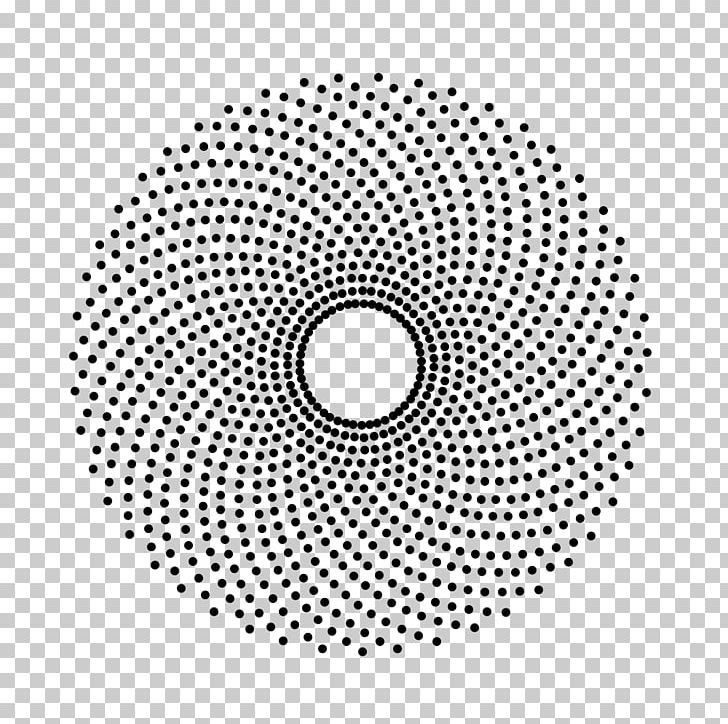 Phyllotaxis Golden Spiral Fibonacci Number Golden Ratio PNG, Clipart, Area, Black And White, Brand, Circle, Common Sunflower Free PNG Download