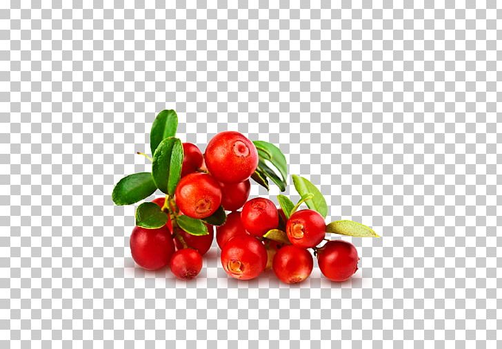 Cranberry Food Fruit Vaccinium Macrocarpon Cream PNG, Clipart, Acerola Family, Cherry, Cosmetics, Cream, Currant Free PNG Download