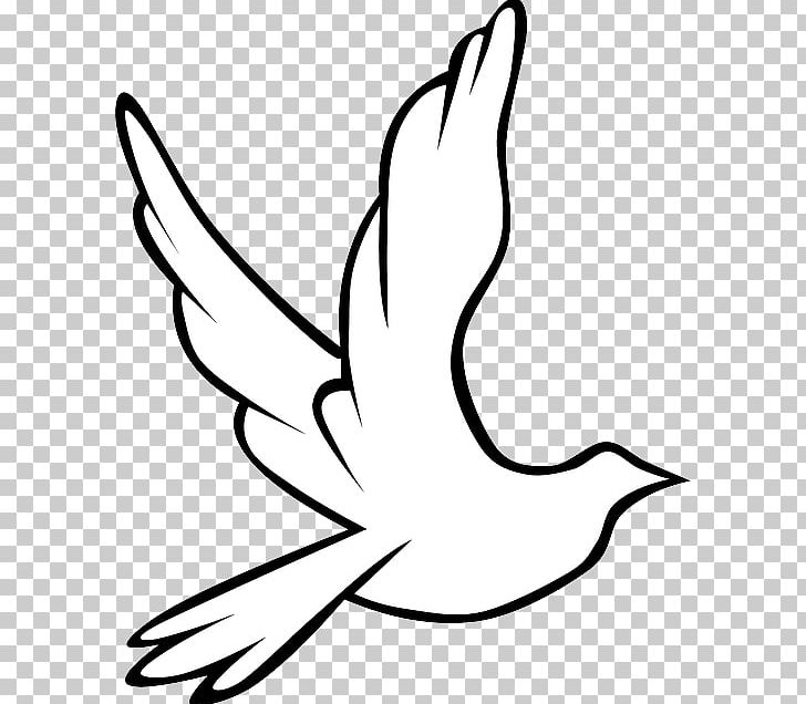 christian symbols dove