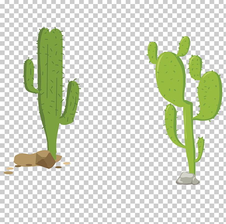 Euclidean Spear Icon PNG, Clipart, Cactus, Cactus Cartoon, Cactus Flower, Cactus Vector, Crop Free PNG Download