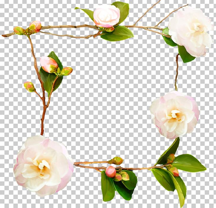 Flower Rosa Chinensis Floral Design PNG, Clipart, Artificial Flower, Background White, Black White, Blossom, Blume Free PNG Download