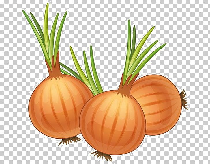 French Onion Soup Yellow Onion PNG, Clipart, Cartoon Character, Cartoon Eyes, Cartoons, Food, Fruit Free PNG Download
