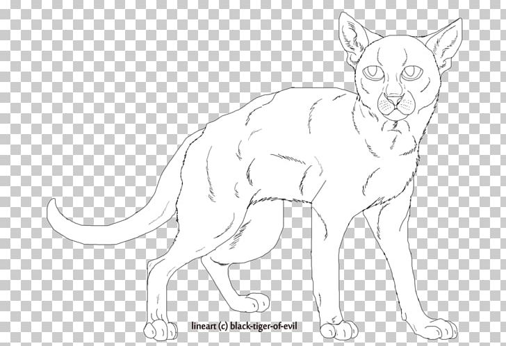 Whiskers Cat Fauna Line Art Wildlife PNG, Clipart, Animal, Animal Figure, Animals, Artwork, Black And White Free PNG Download