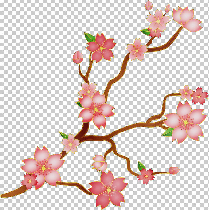 Cherry Blossom PNG, Clipart, Blossom, Branch, Cherry Blossom, Flower, Paint Free PNG Download