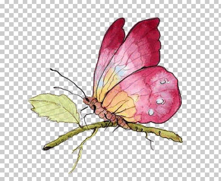 Butterfly Papillon Dog Drawing Insect PNG, Clipart, Art, Arthropod, Blue , Brush Footed Butterfly, Butterflies Free PNG Download
