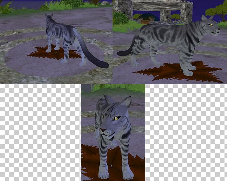 Cat Feral Ecosystem Tail Fauna PNG, Clipart, Angle, Animals, Camera, Camera Angle, Carnivoran Free PNG Download