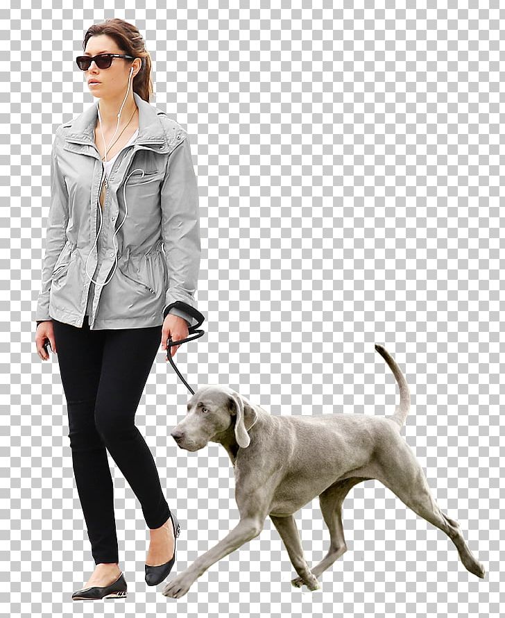 Dog Architecture Architectural Rendering PNG, Clipart, Animals, Architectural Rendering, Architecture, Companion Dog, Dog Free PNG Download