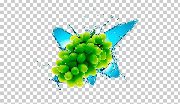 Grape Gratis PNG, Clipart, Background Green, Computer Wallpaper, Encapsulated Postscript, Flowering Plant, Free Free PNG Download