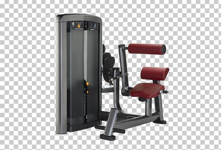 Hyperextension Exercise Equipment Life Fitness Roman Chair Fitness Centre PNG, Clipart, Bench, Biceps Curl, Dip, Dumbbell, Elliptical Trainers Free PNG Download