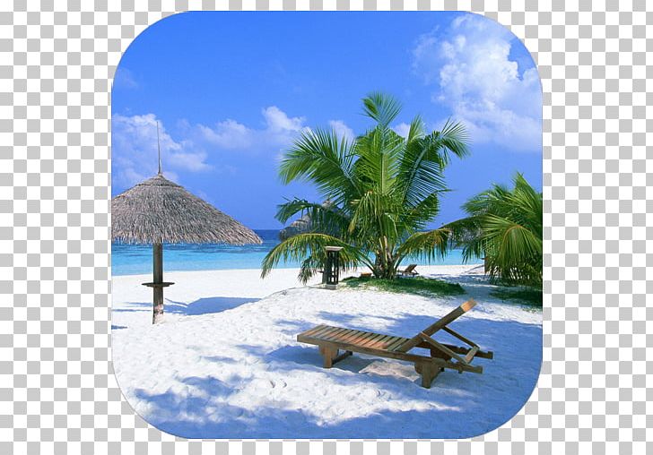 Package Tour Beach Tissamaharama Travel Hotel PNG, Clipart, Accommodation, Arecales, Beach, Caribbean, Coastal And Oceanic Landforms Free PNG Download