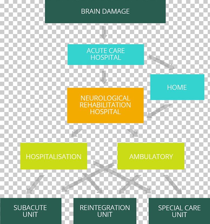 Brain Damage Physical Medicine And Rehabilitation Hospital Neurology PNG, Clipart, Acquired Brain Injury, Area, Brain, Brain Damage, Cerebral Palsy Free PNG Download