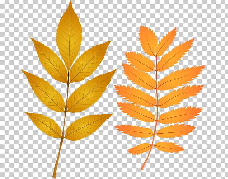 Computer Icons PNG, Clipart, Art, Autumn, Autumn Leaf Color, Branch, Computer Icons Free PNG Download