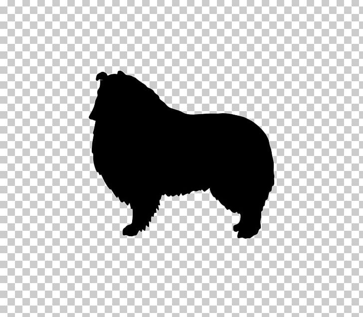 Dog Breed Border Collie Rough Collie German Shepherd Malinois Dog PNG, Clipart, Bear, Black, Black And White, Border Collie, Breed Free PNG Download