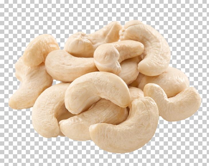 cashew clipart