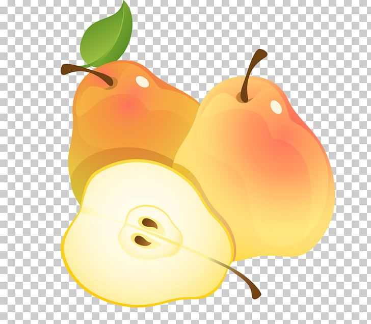 Pear Fruit PNG, Clipart, Apple, Apricot, Computer Icons, Danjou, Desktop Wallpaper Free PNG Download